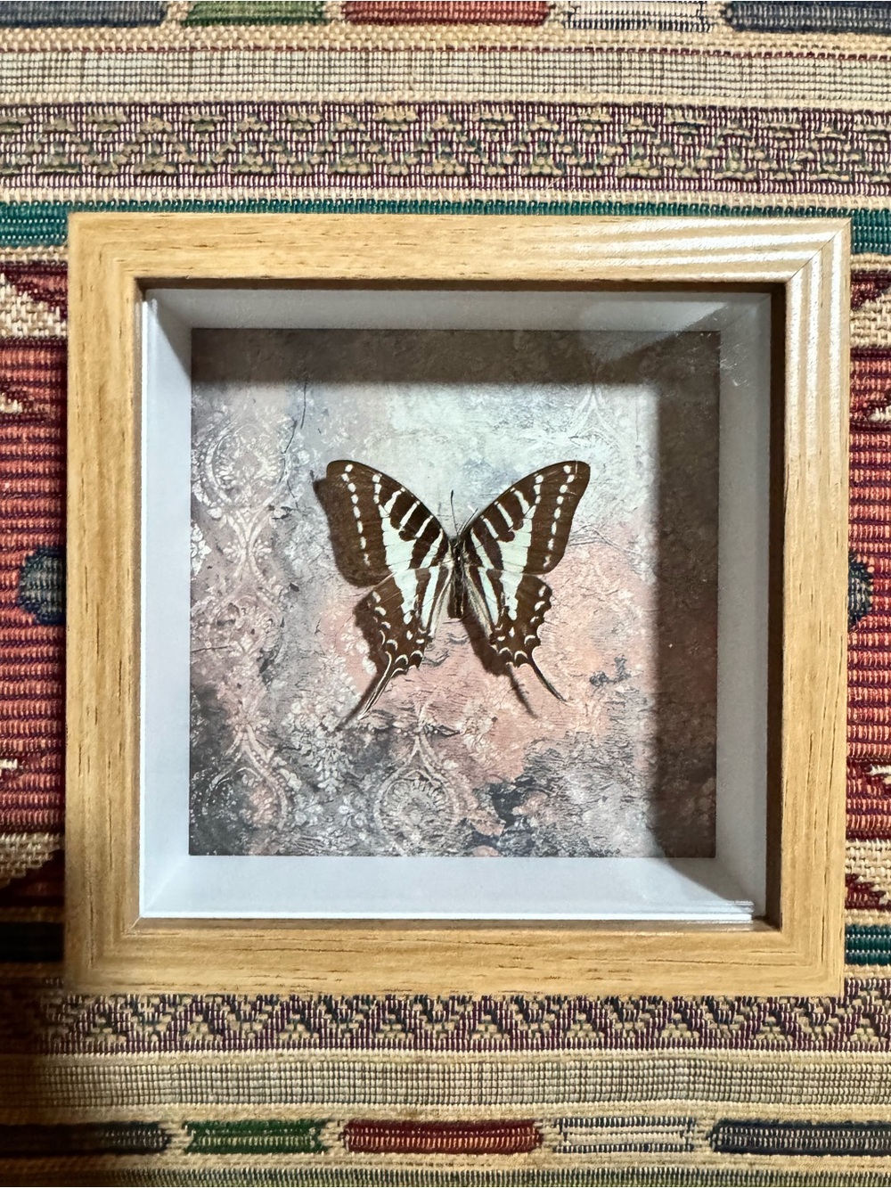 Framed Brown Butterfly Shadow Box Wall Art